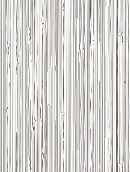 Lines - 3107