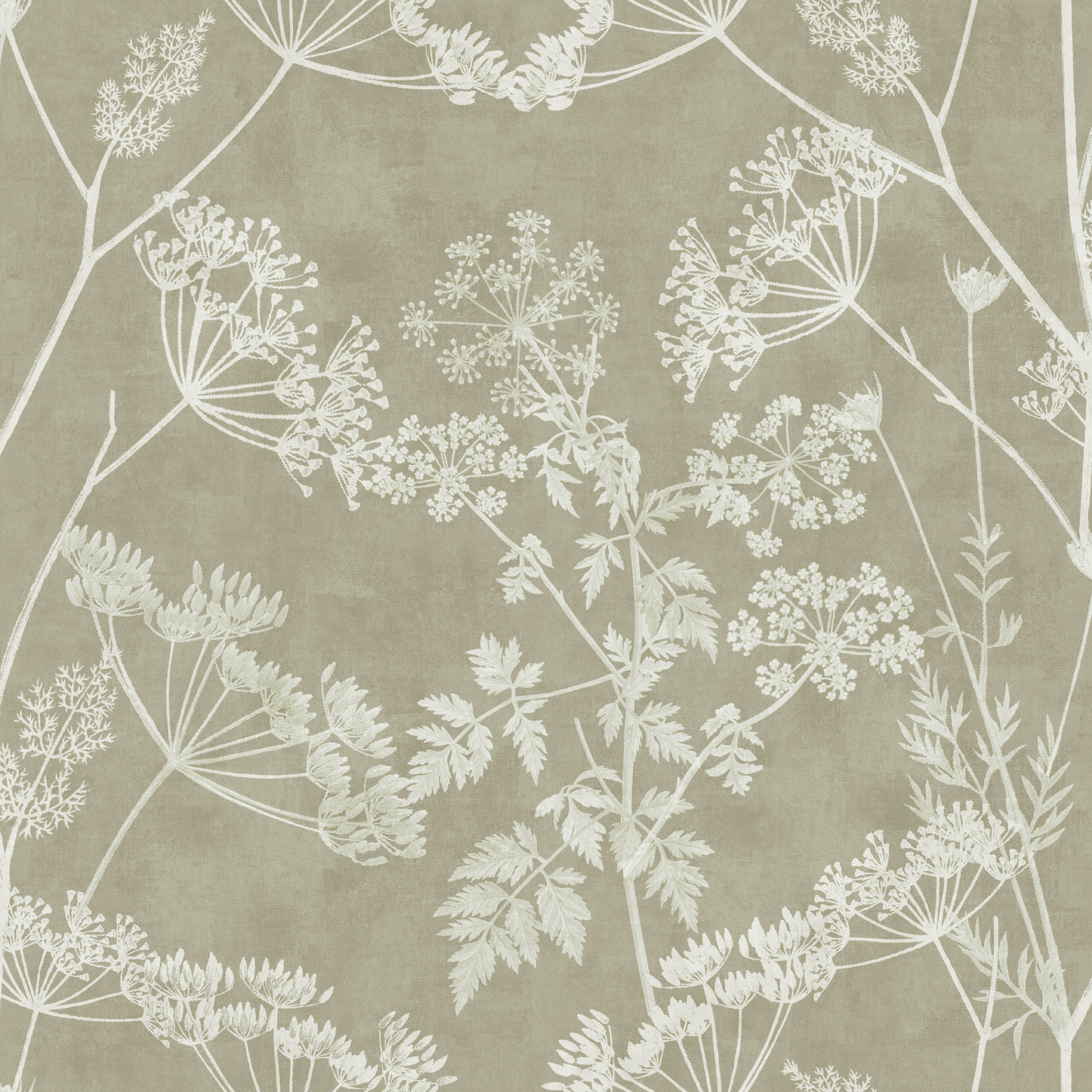 Elderflower Floral - 101198AH