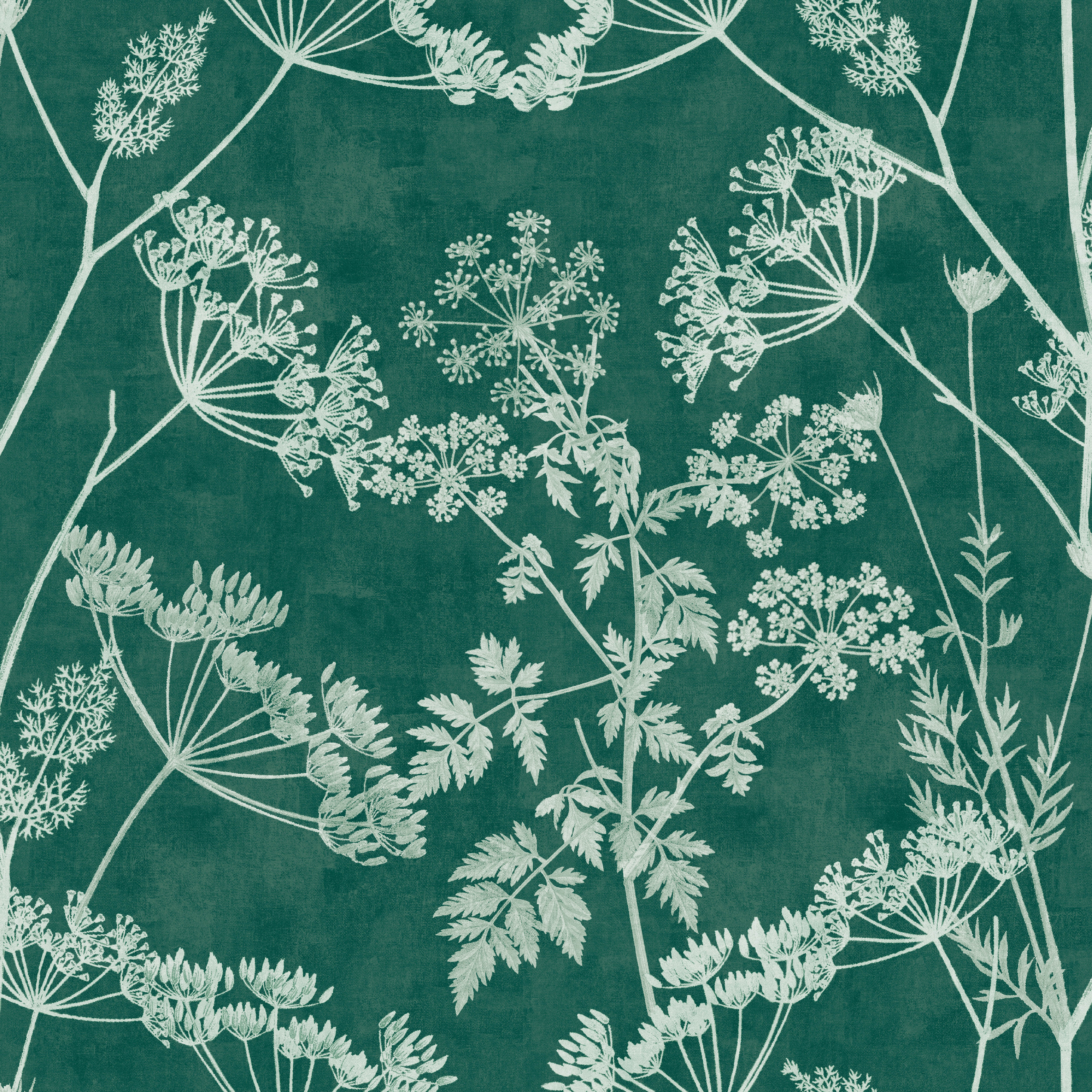 Elderflower Floral - 101199AH