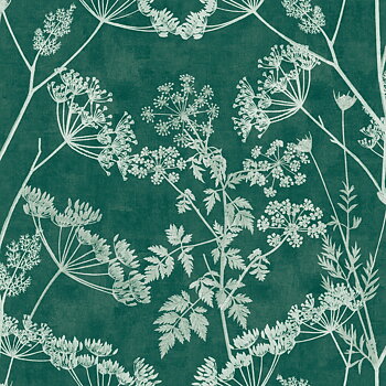 Elderflower Floral - 101199AH
