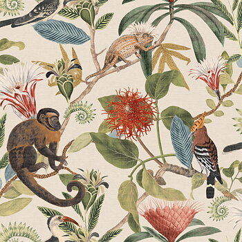 Madagascar - 100570AH