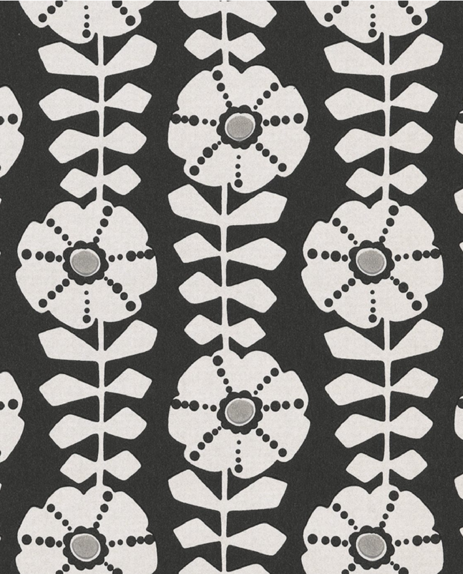 Black & Light - 356151 - 2