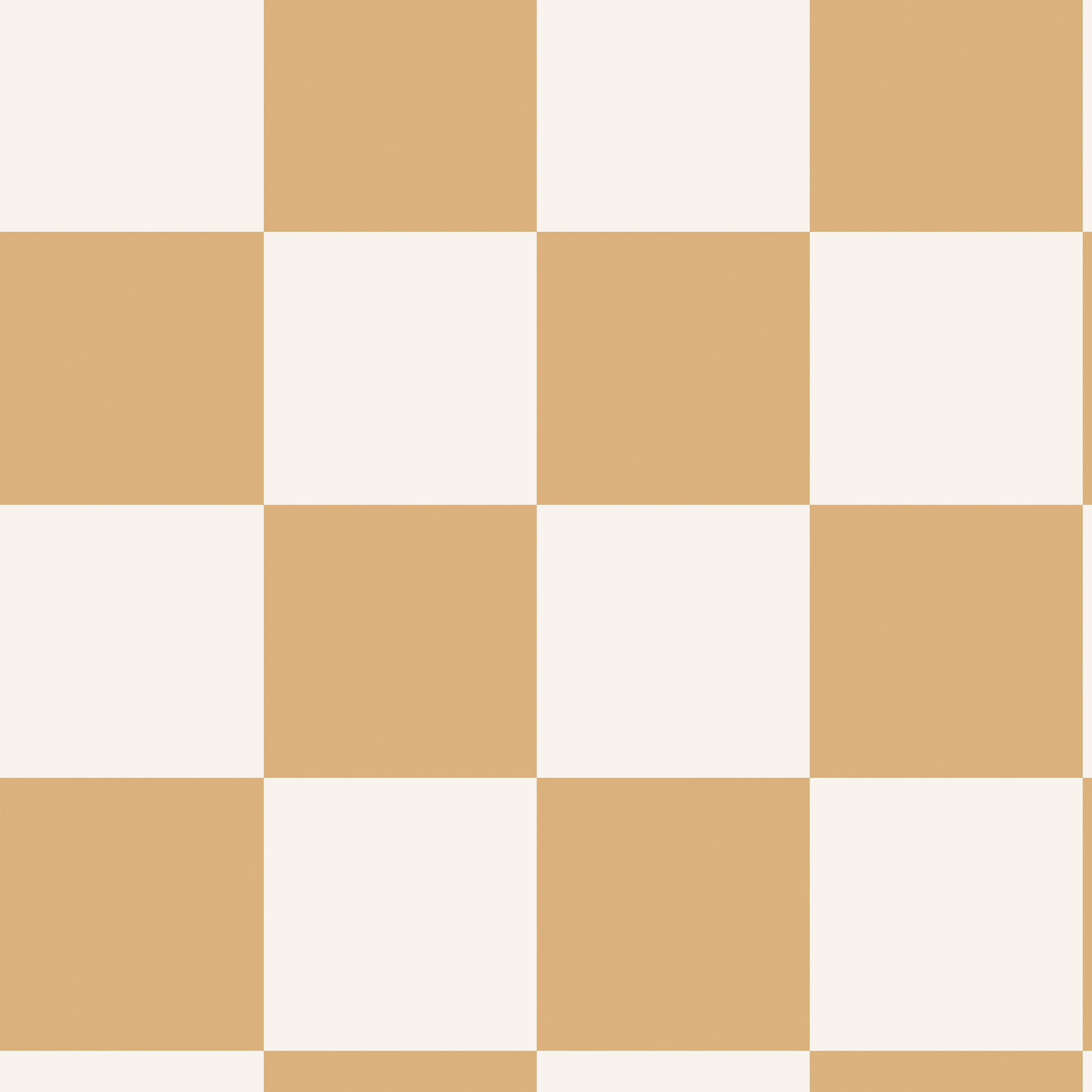 Check This Out! - 14042