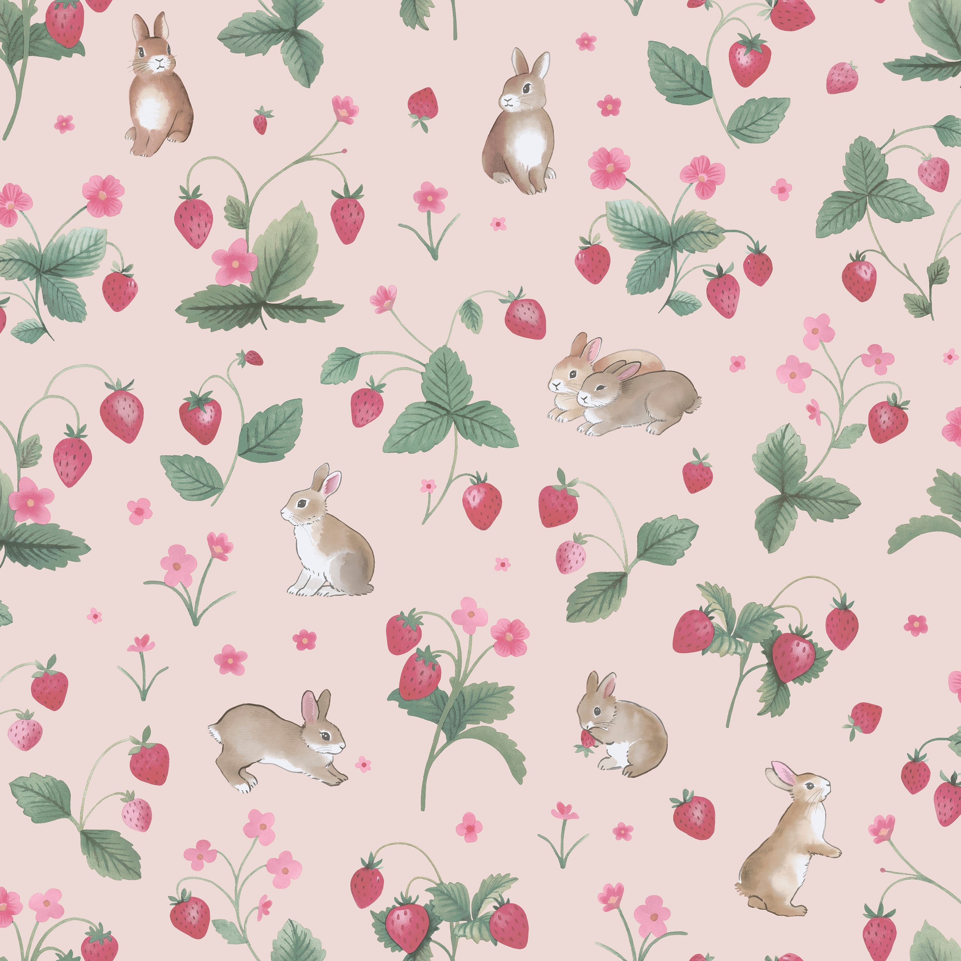Bunnies & Berries - 14141