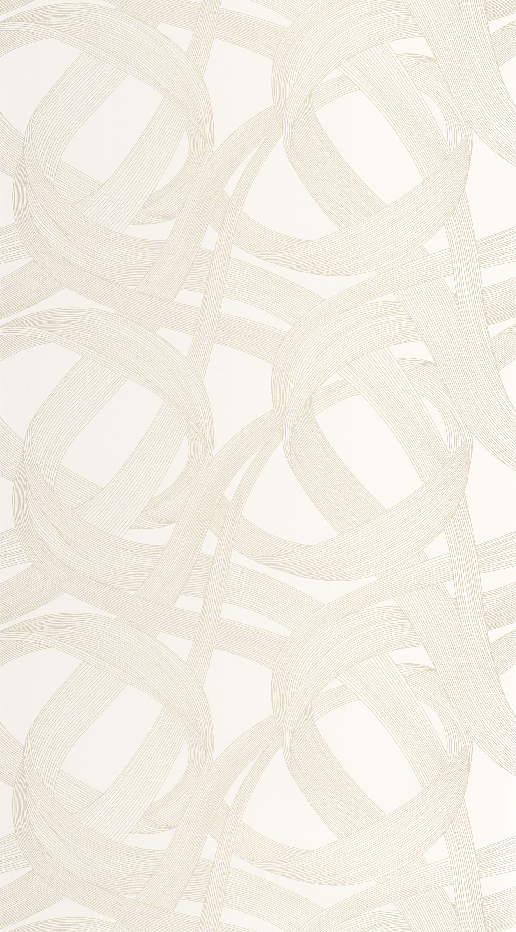 Shimmy - ANFO201060287