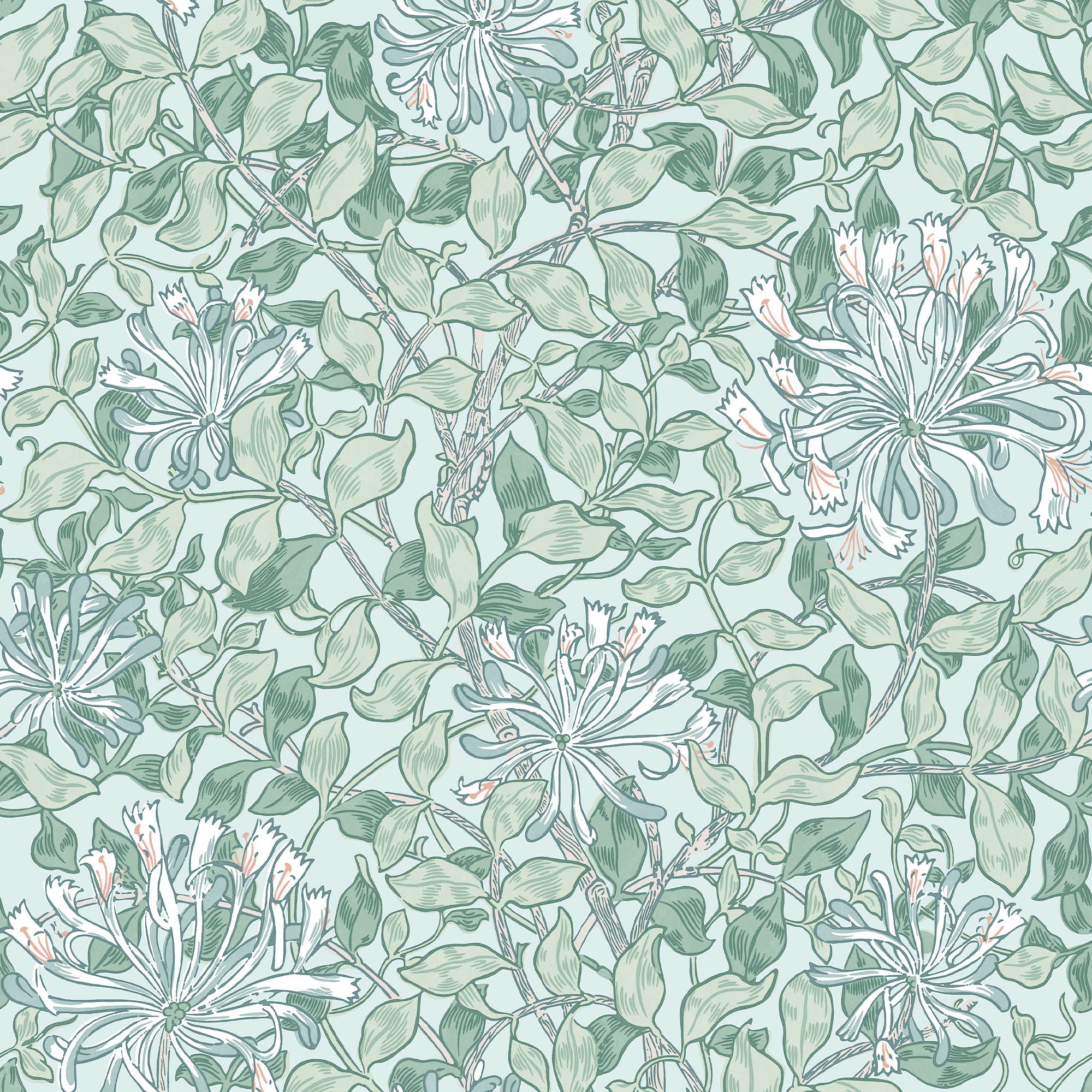 Honeysuckle - 140485