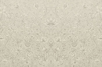 Posy - 316086