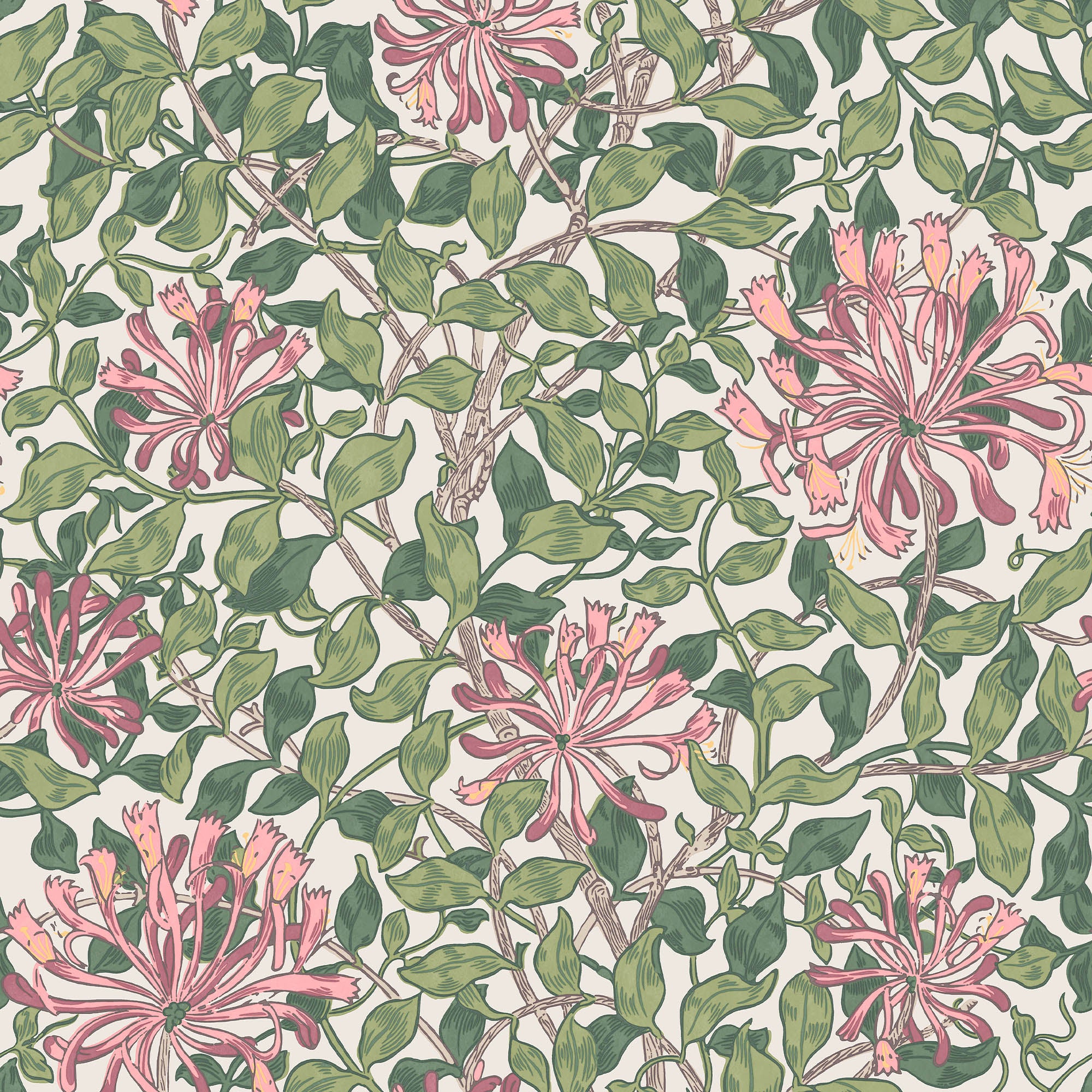 Honeysuckle - 140486