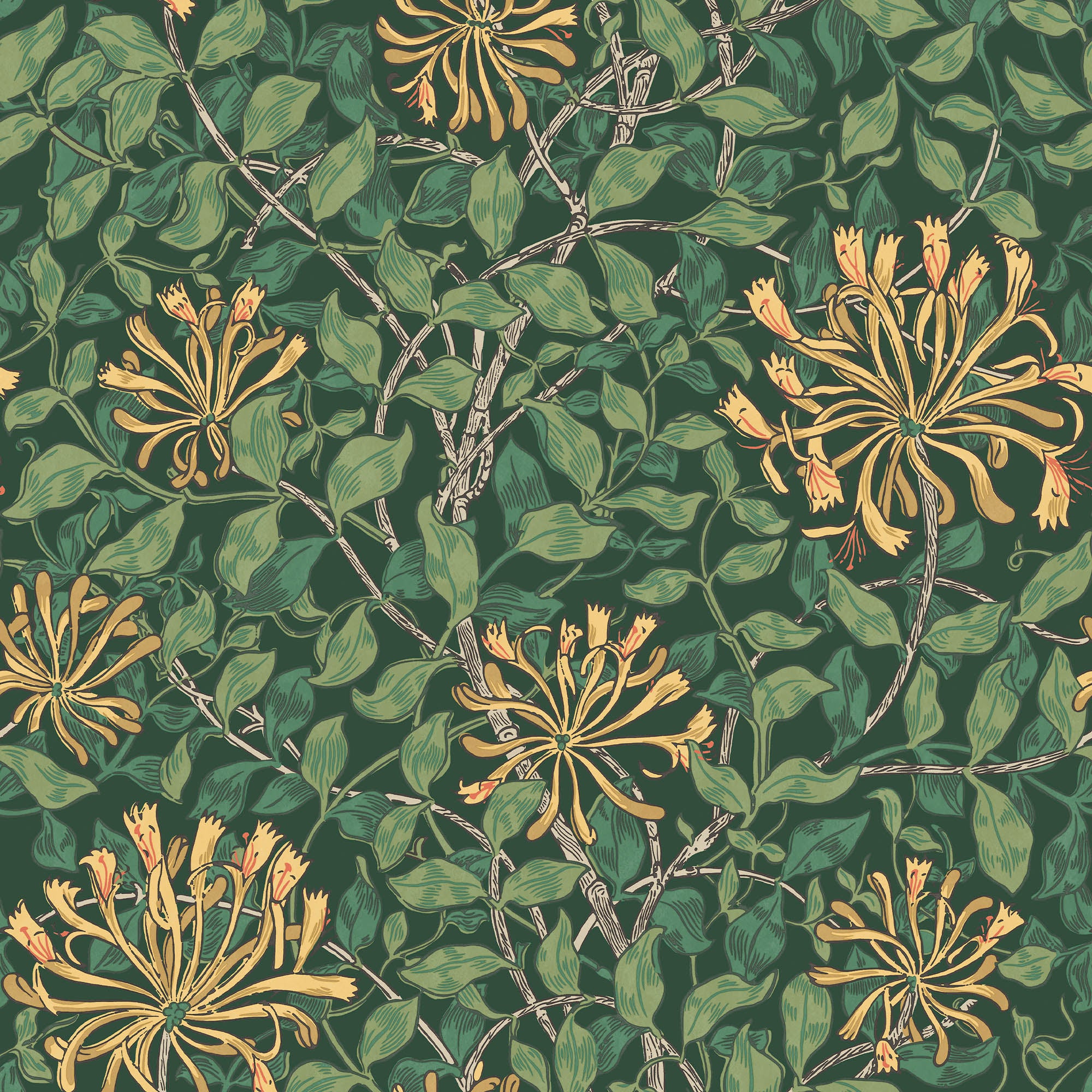 Honeysuckle - 140487
