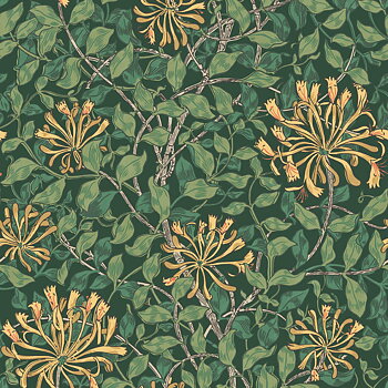 Honeysuckle - 140487