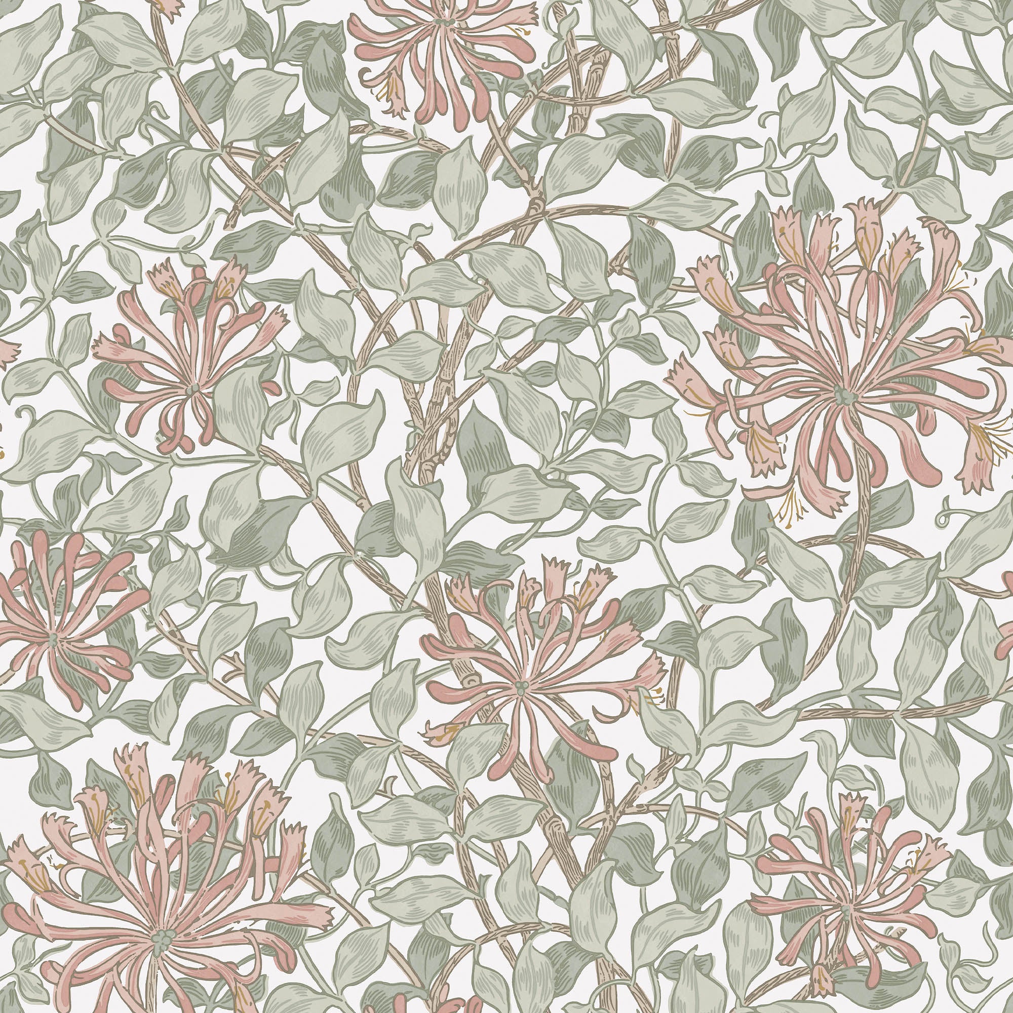 Honeysuckle - 140488