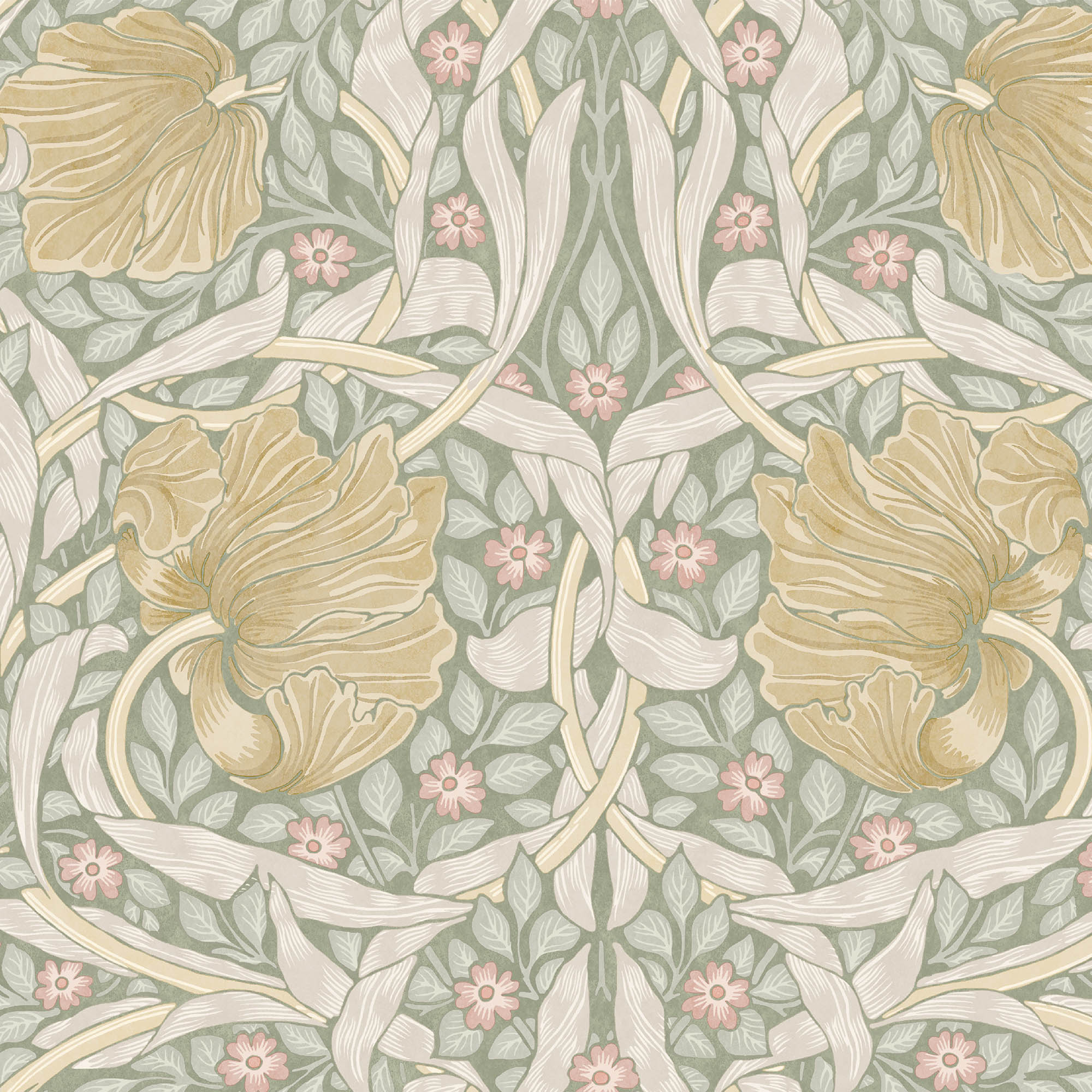 Pimpernel - 140506