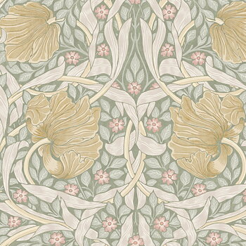 Pimpernel - 140506