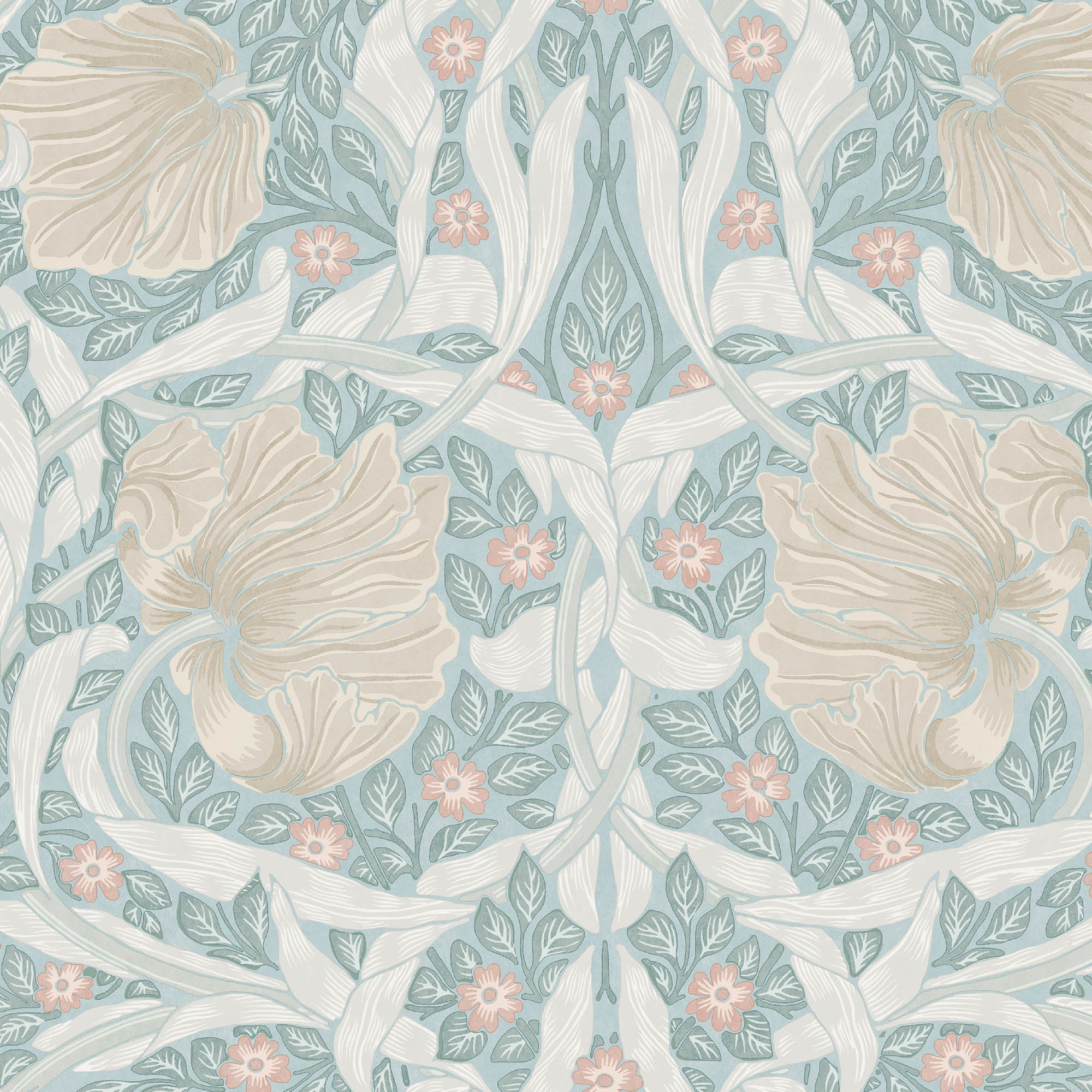 Pimpernel - 140507
