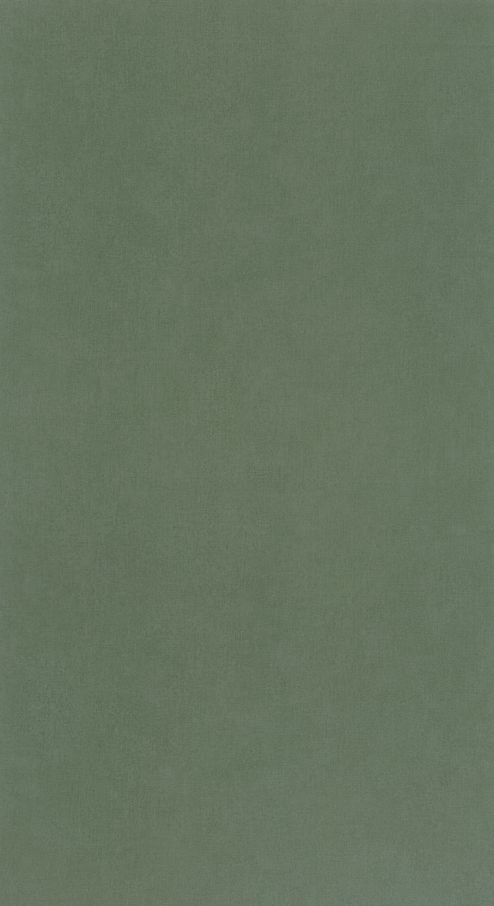 Outlines - OTLS64524044