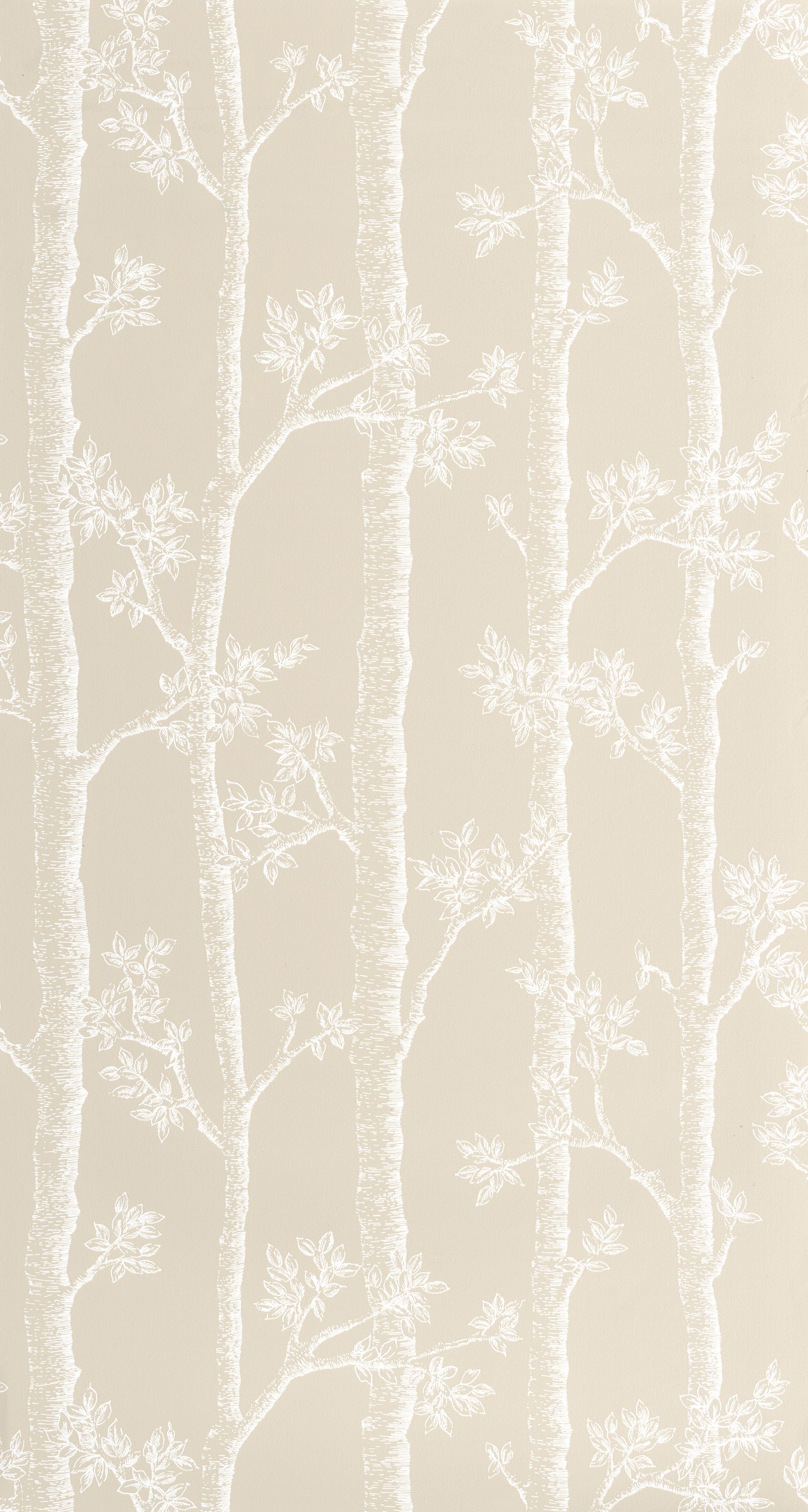 Automne - BLD106121109