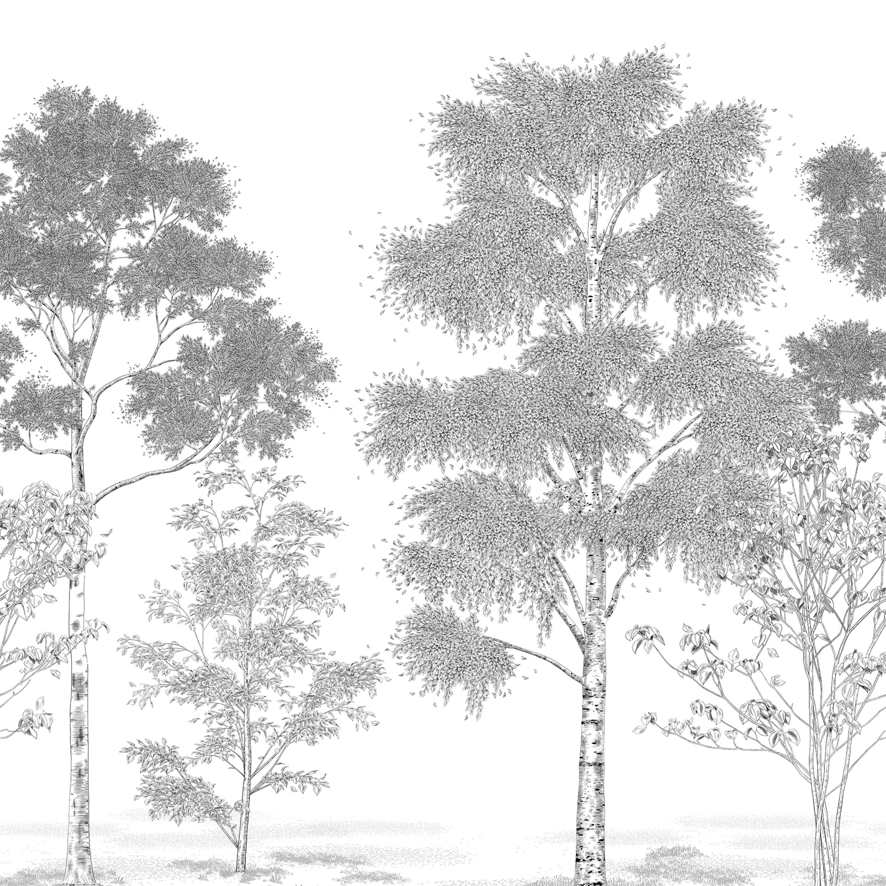 Poesie Printaniere - BLD106169006