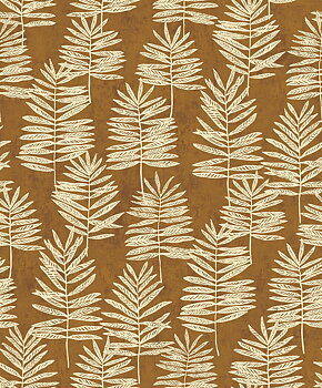 Modern Polypody - 36504
