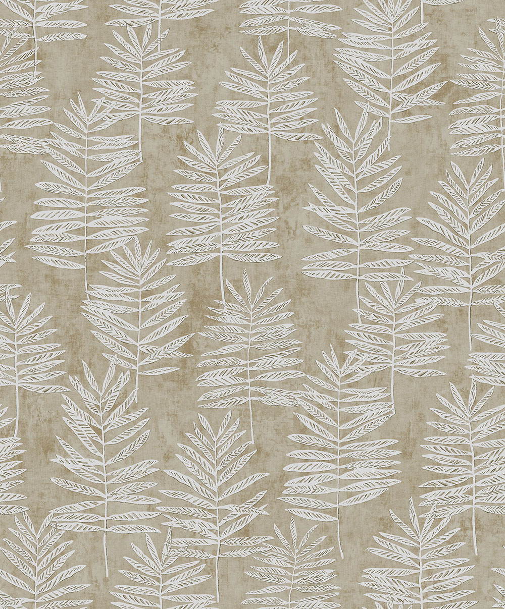 Modern Polypody - 36505