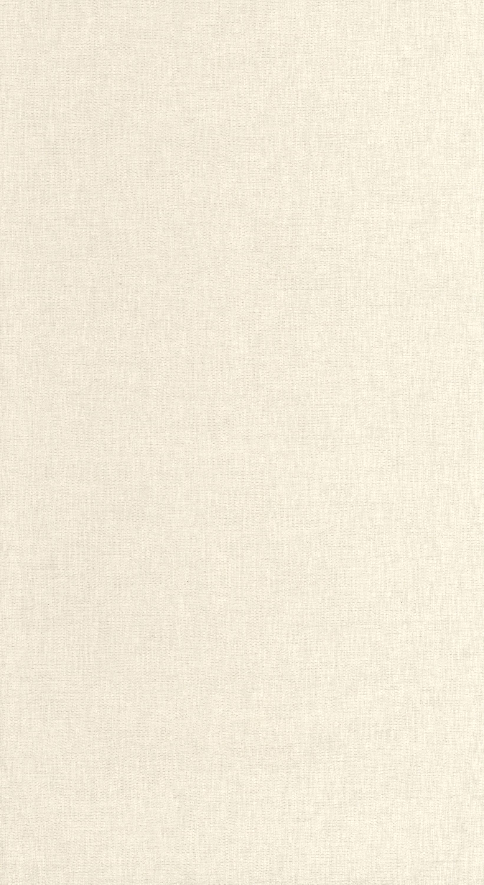 Linen Edition 2 - LNI103221050