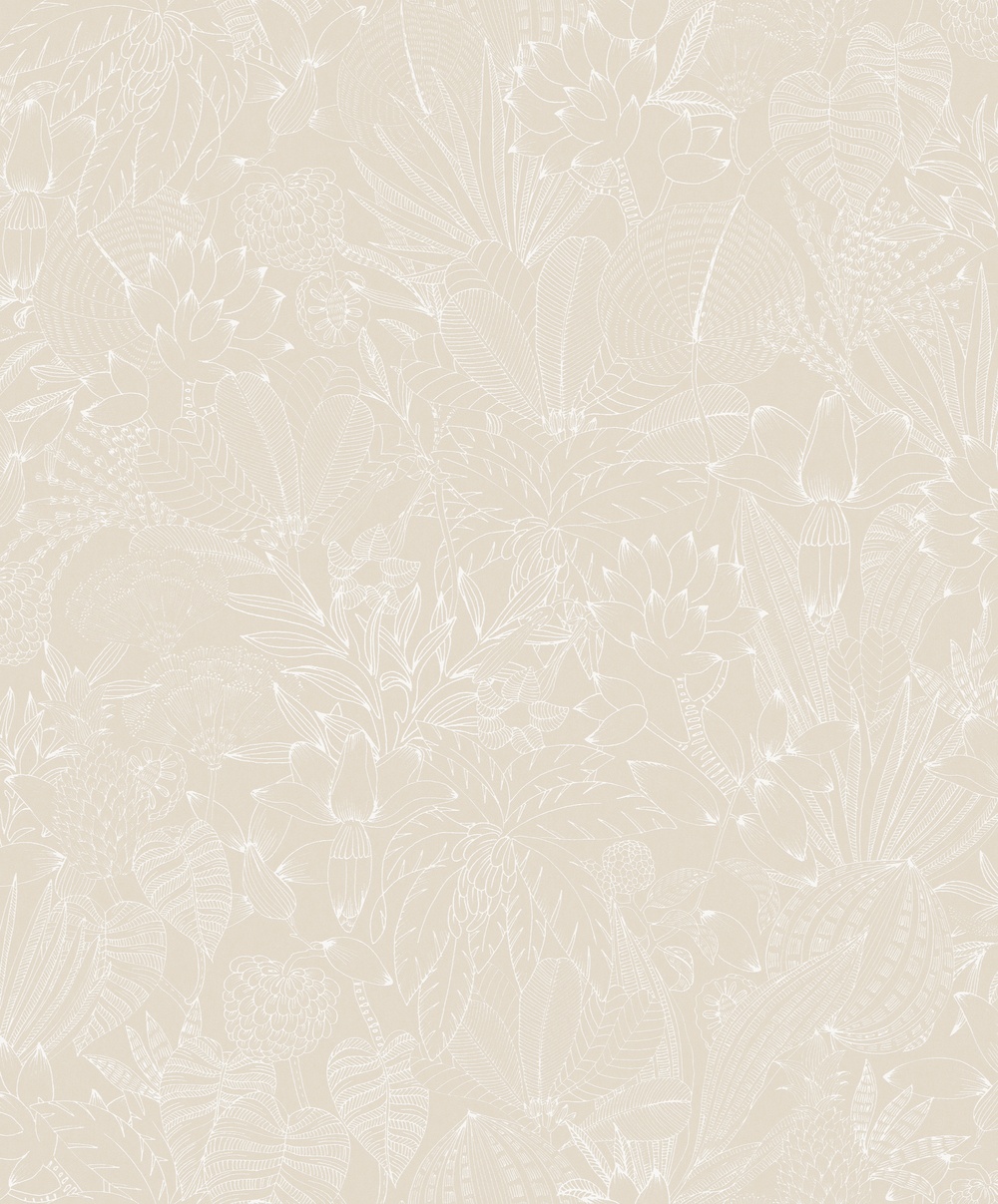 Bellis Angora - ROM101