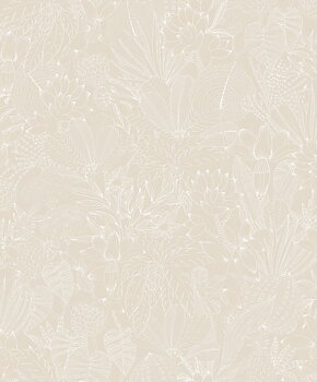 Bellis Angora - ROM101