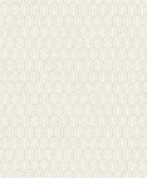 Boutique - F-VL6001