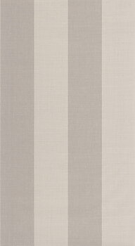 Rayures - RAYS28461116