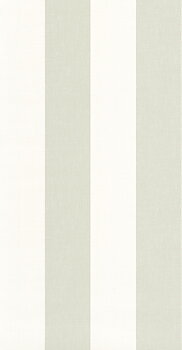 Rayures - RAYS28467396