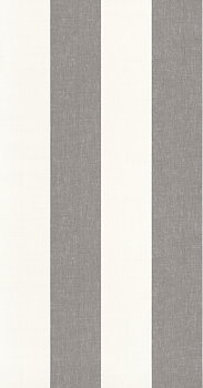 Rayures - RAYS28469912