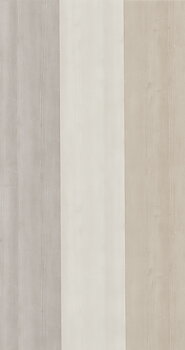 Bois - RAYS29241109