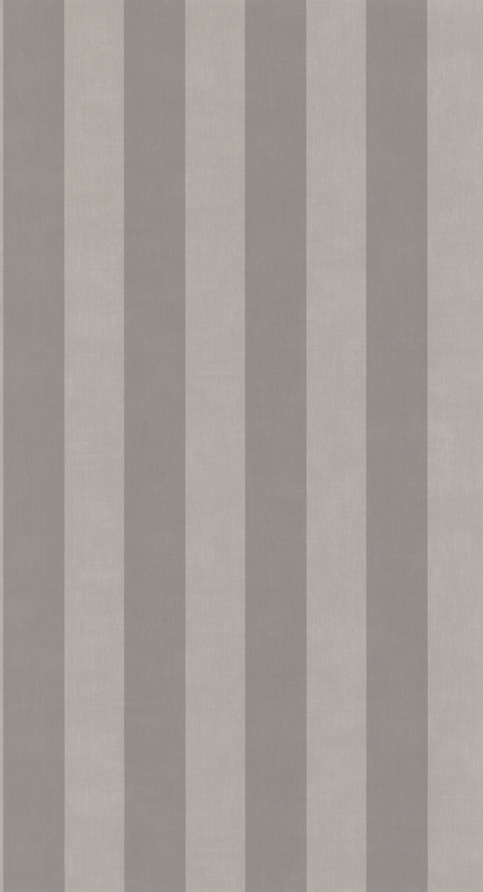 Rayures - RAYS29251227