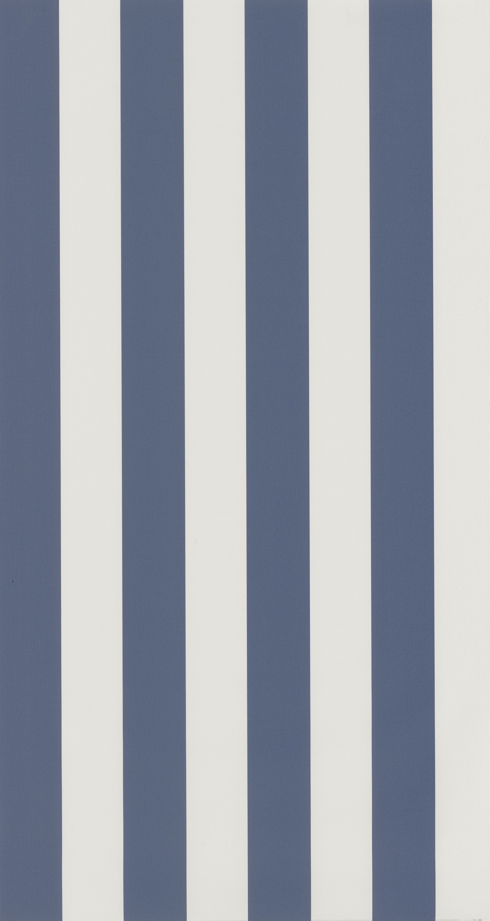 Rayures - RAYS29256520