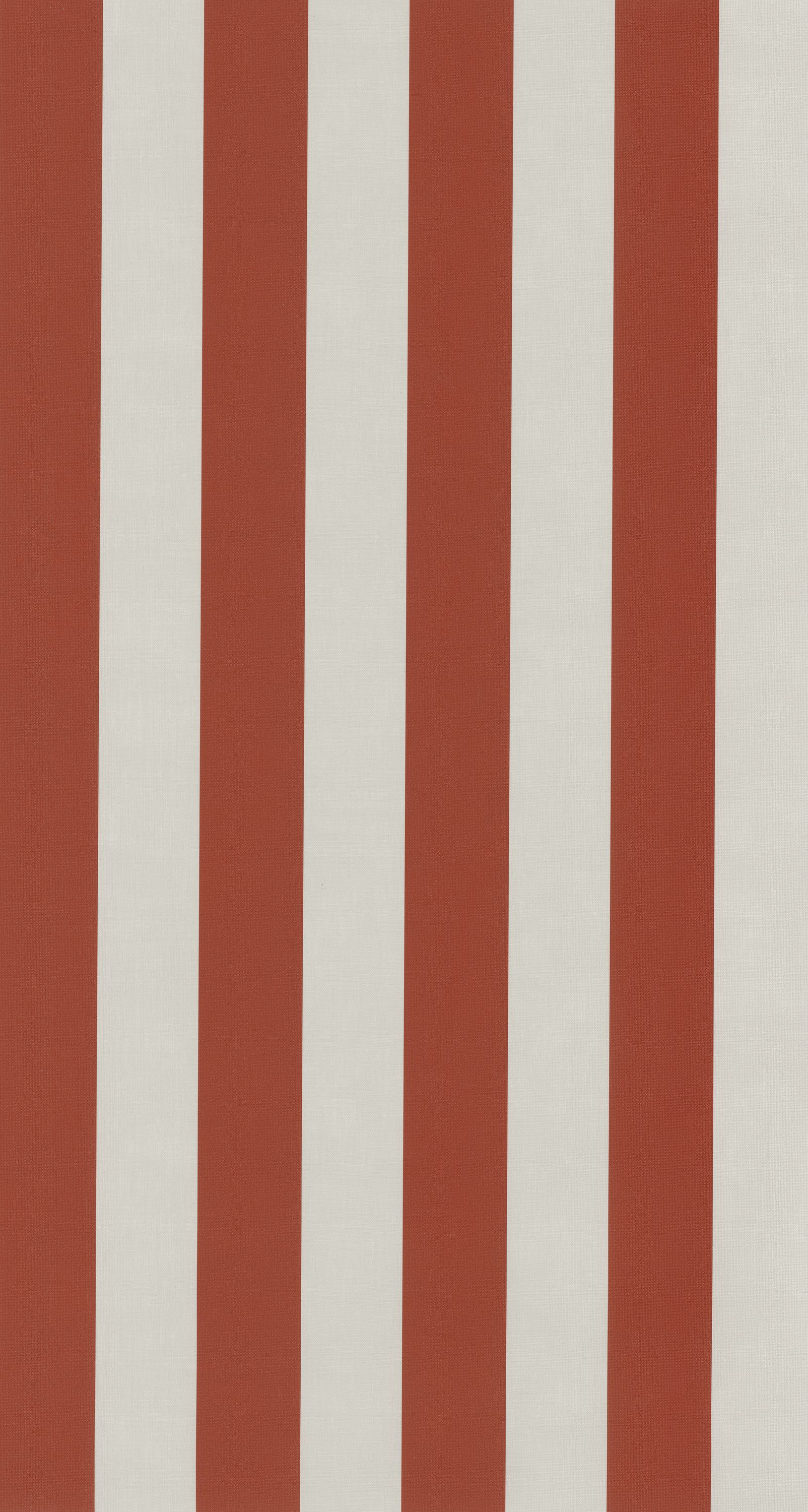 Rayures - RAYS29258111