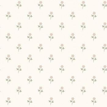 Anemone - 6973