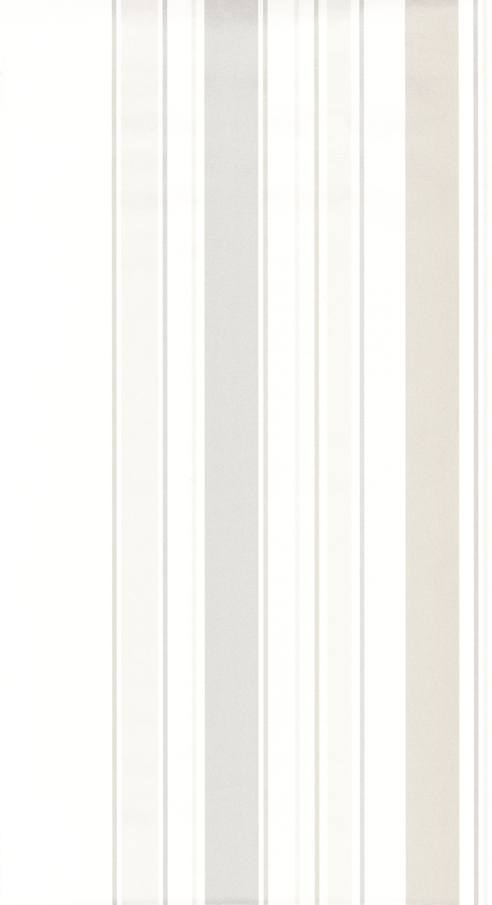 Rayures - RAYS80640110