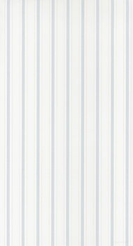 Rayure - RAYS81576103