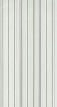 Rayure - RAYS81577104