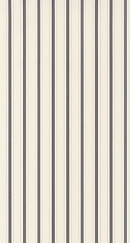 Rayure - RAYS81579602