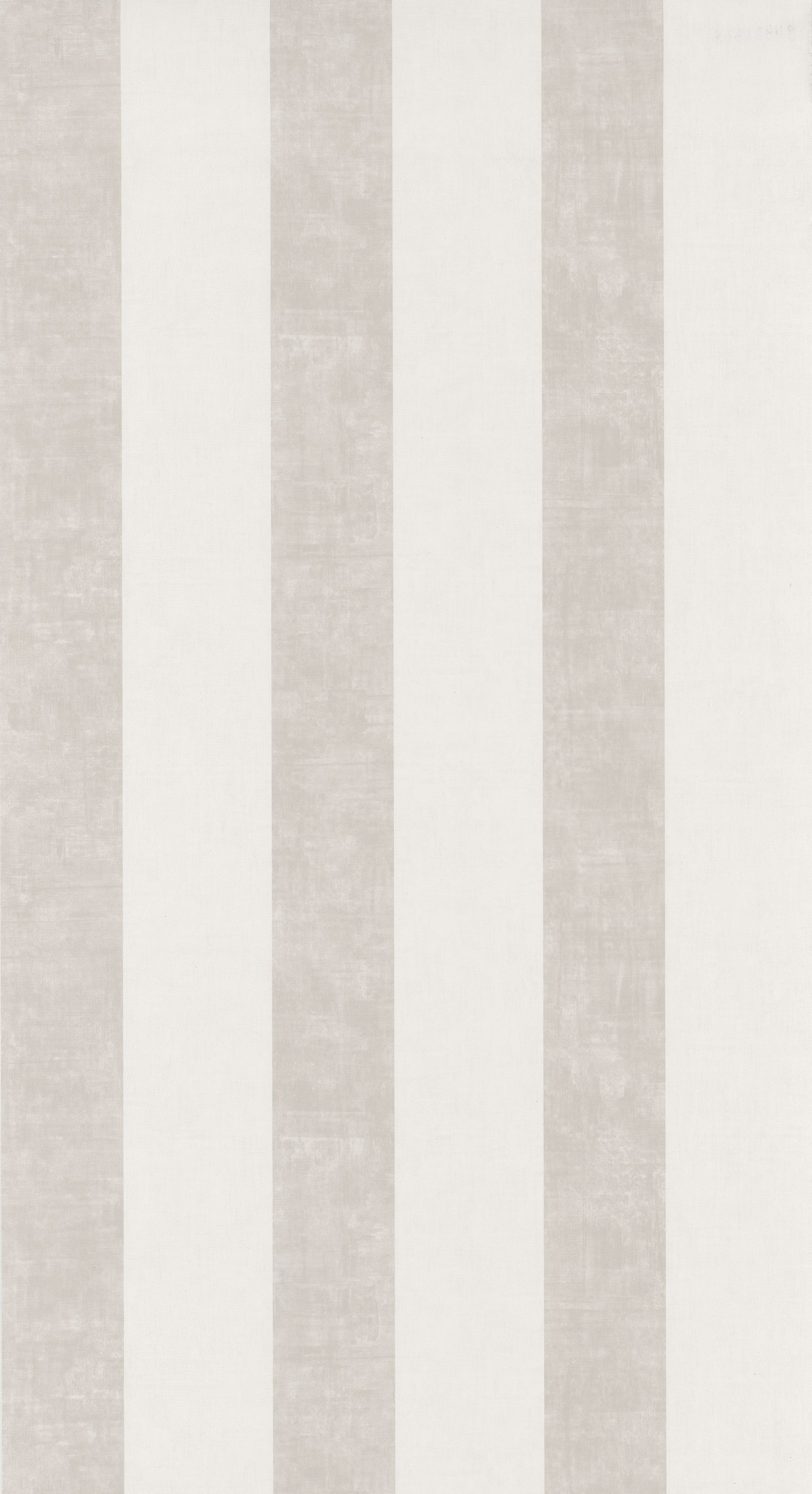 Alize - RAYS84031335