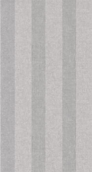 Alize - RAYS84039314