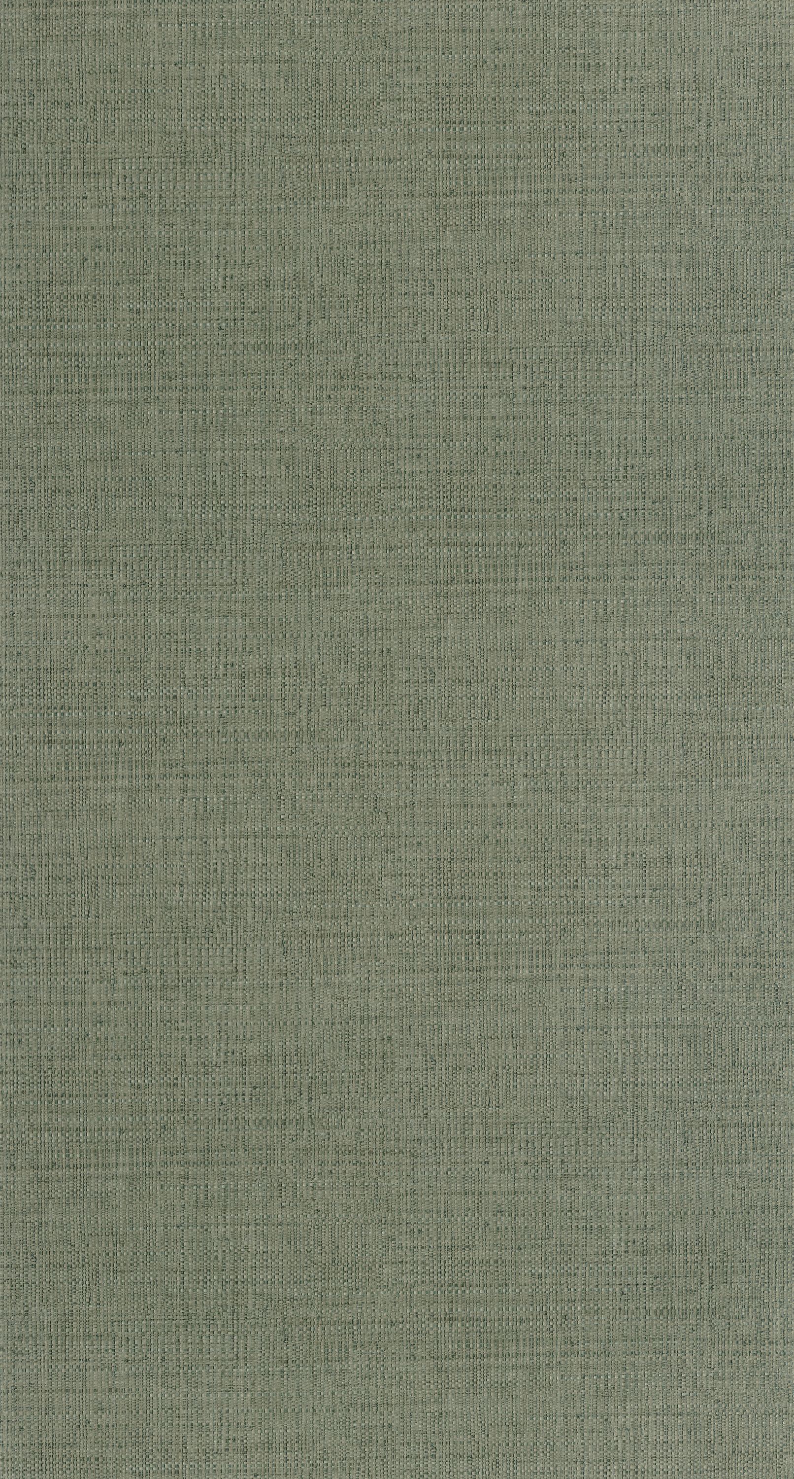 Raphia - MMT105977206