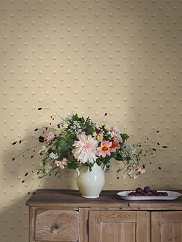 Anemone - 6972