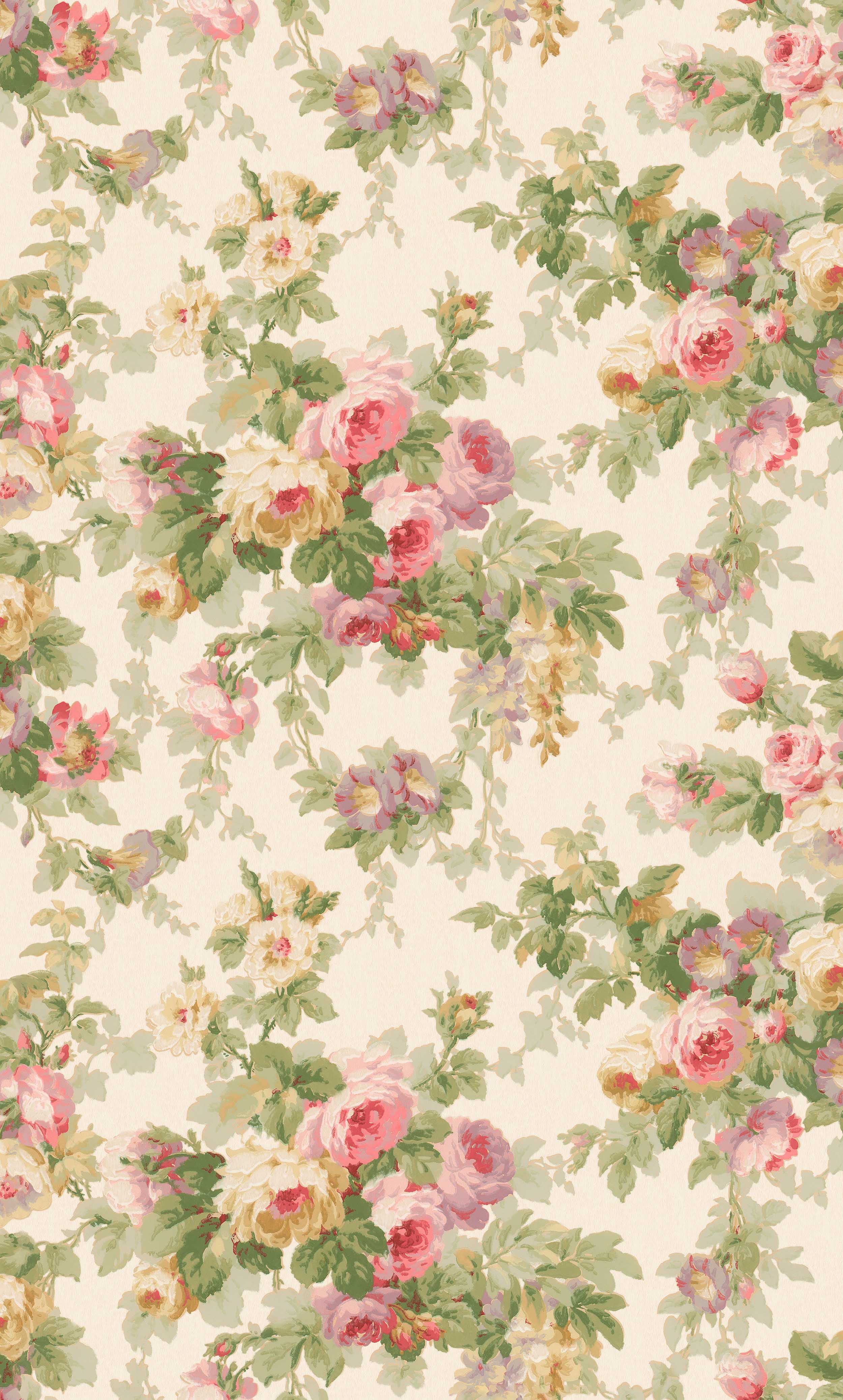 Sweet Dream Rose - 9183