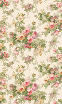 Sweet Dream Rose - 9183