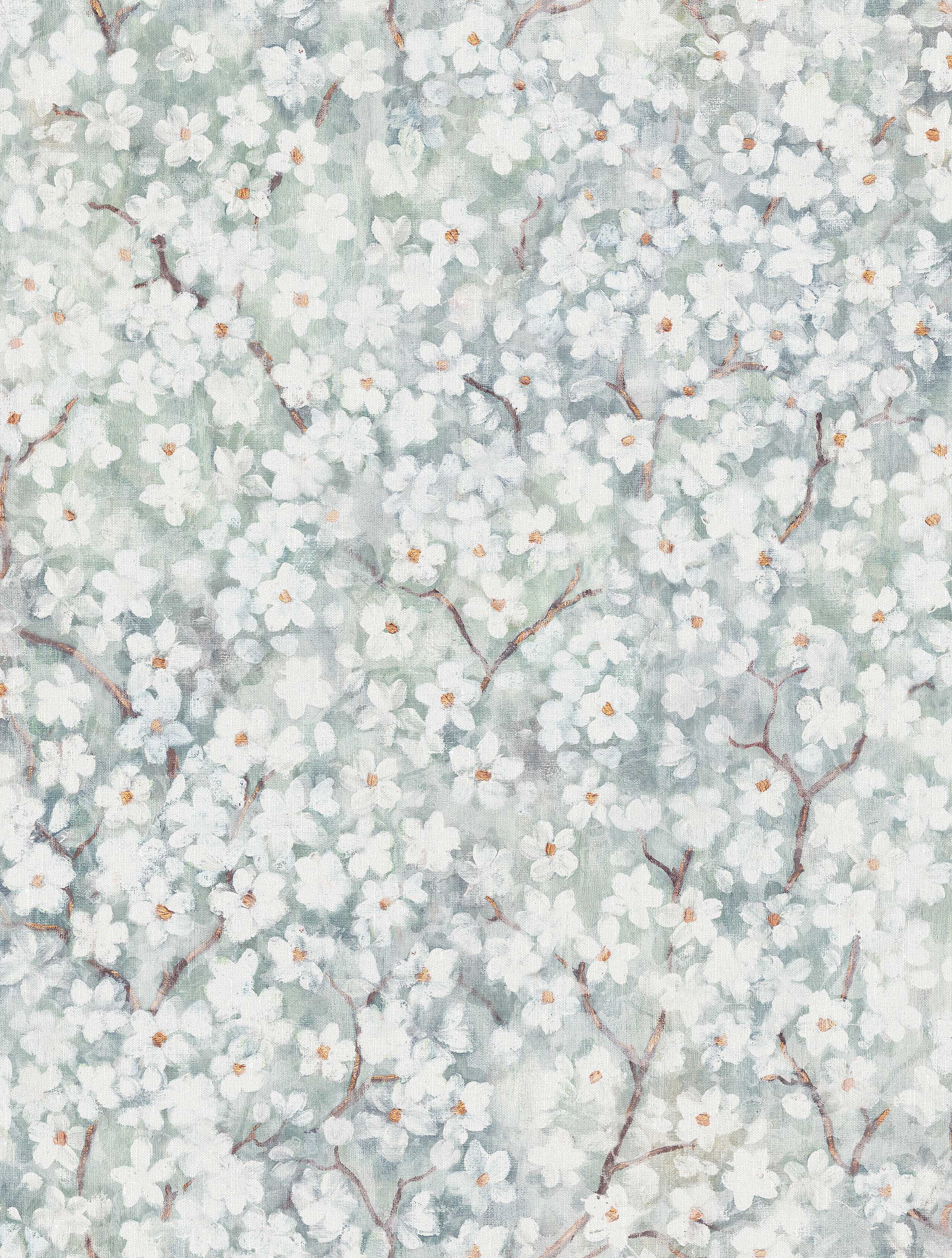 Hanami - 9184