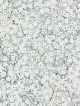 Hanami - 9184