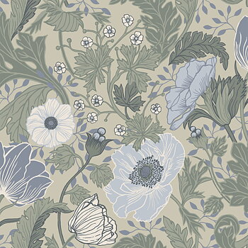 Anemone - 34035