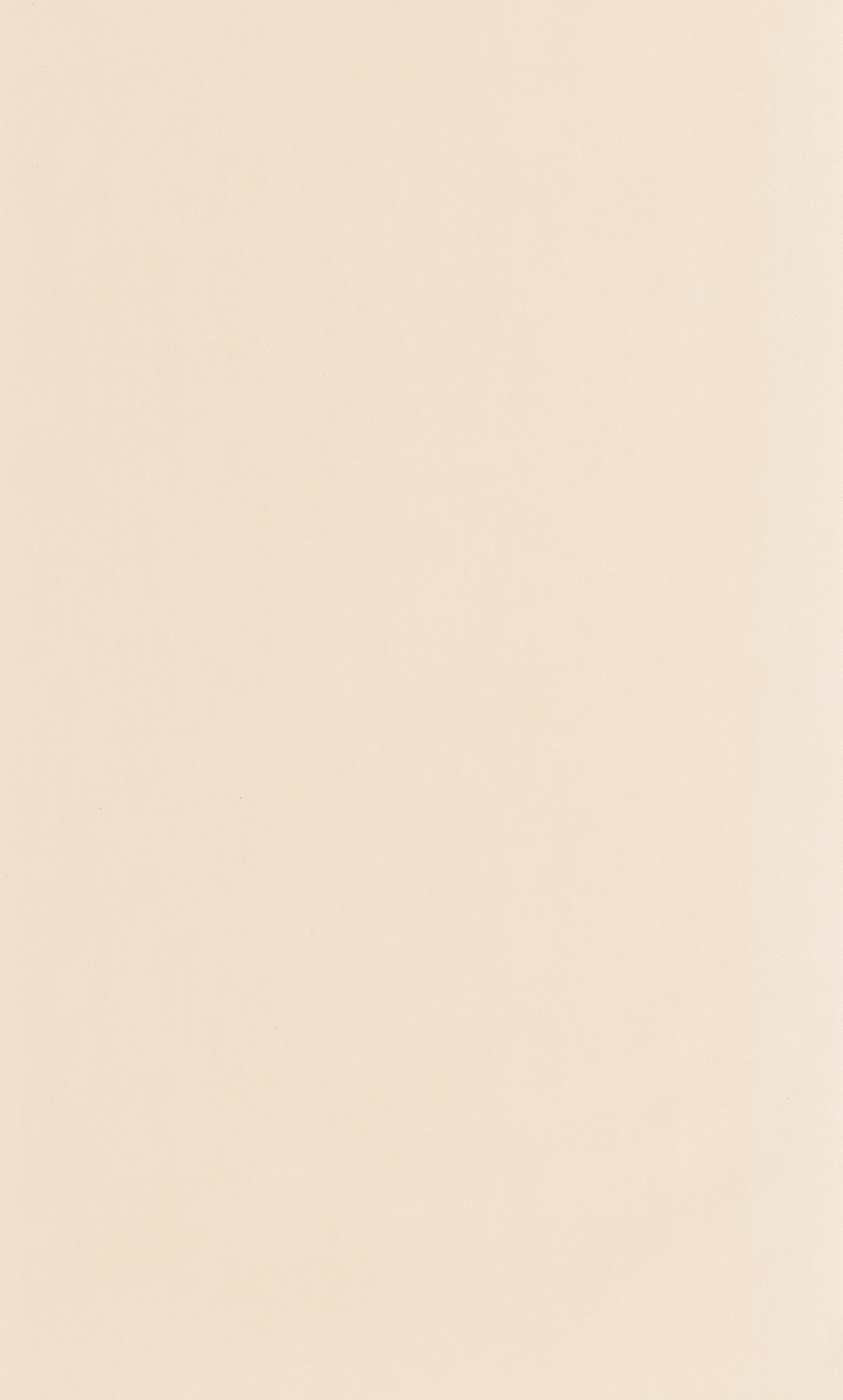 Nest - NEST201000303