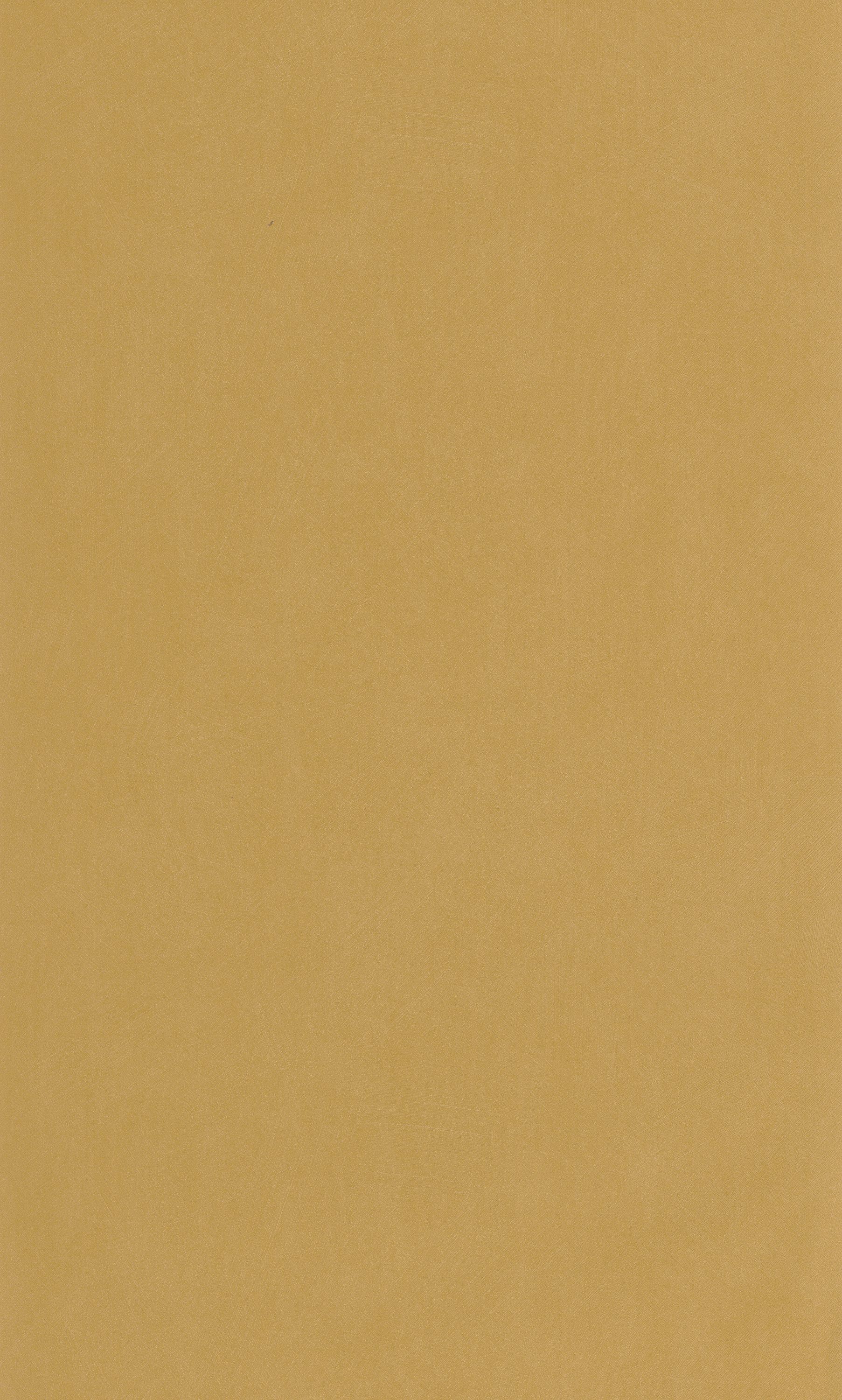 Nest - NEST201002080